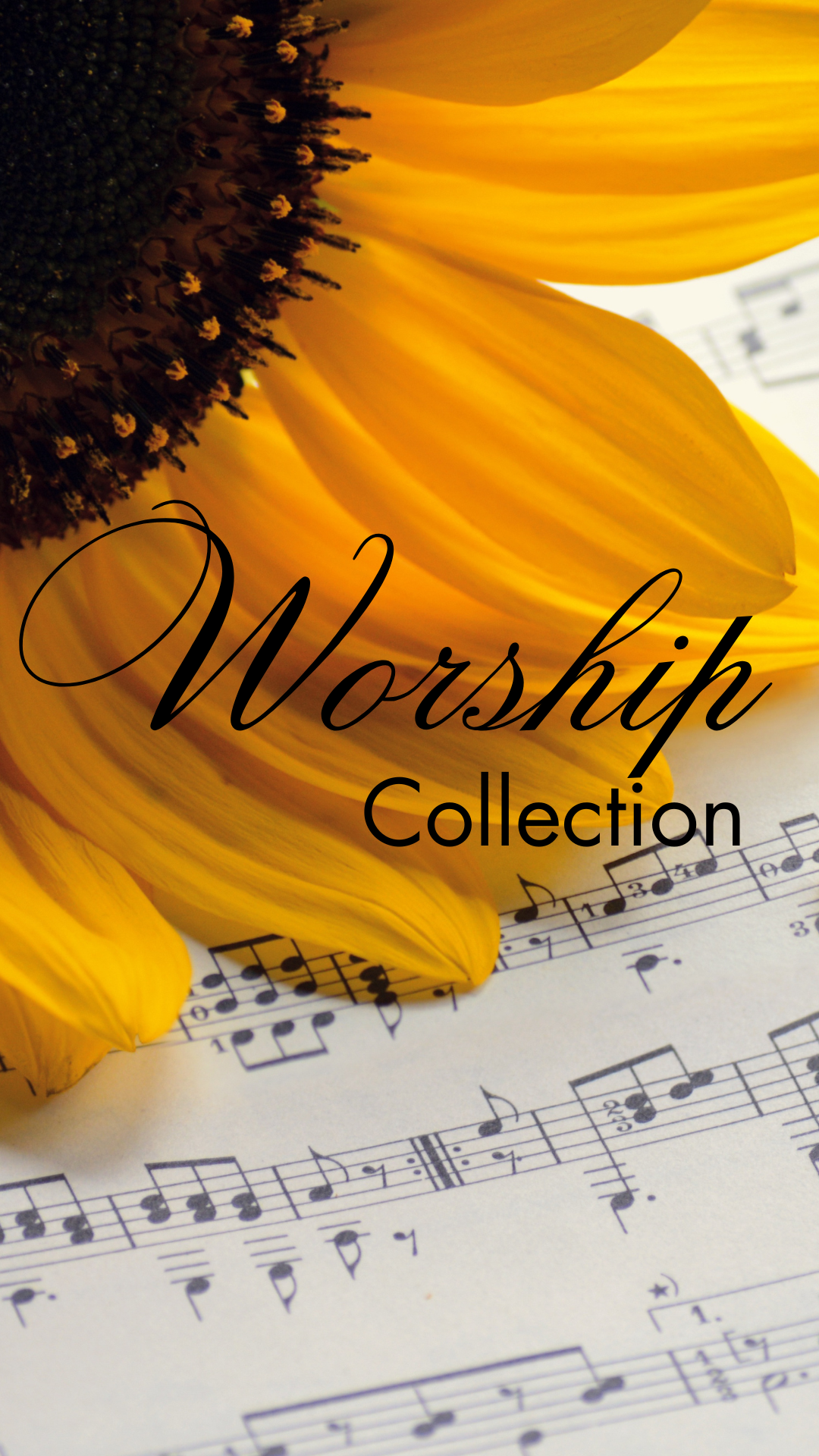 Worship Collection